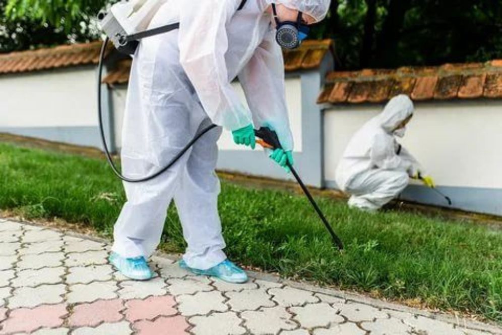 Two individuals in protective gear spraying grass with a sprayer, ensuring safety while applying treatment to the lawn.
