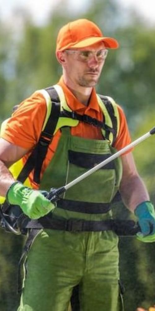 A man dressed in an orange and green outfit sprays weeds in a garden, focusing on the plants around him.