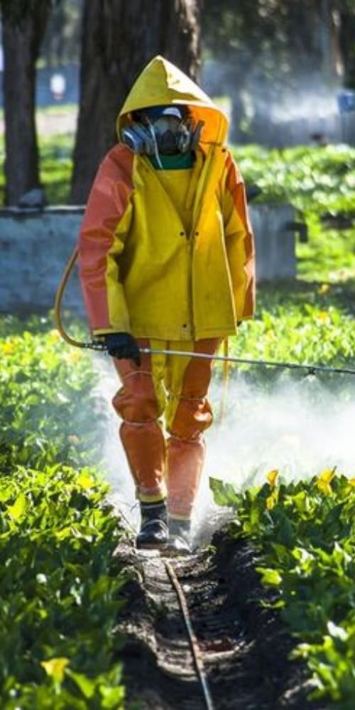 A man in a yellow rain suit applies pesticides to a field, ensuring crop protection from pests and diseases.