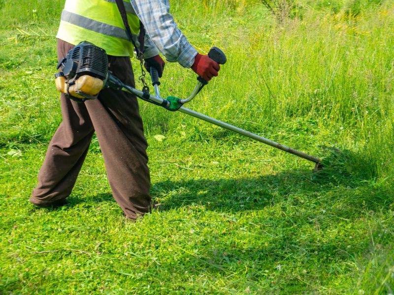 DIY lawn care may save money upfront but could lead to hidden costs over time