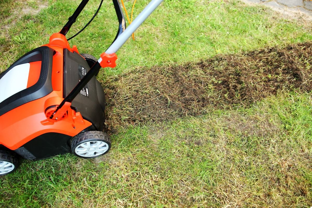 A person operates a lawn mower, efficiently cutting the grass in a well-maintained yard. 