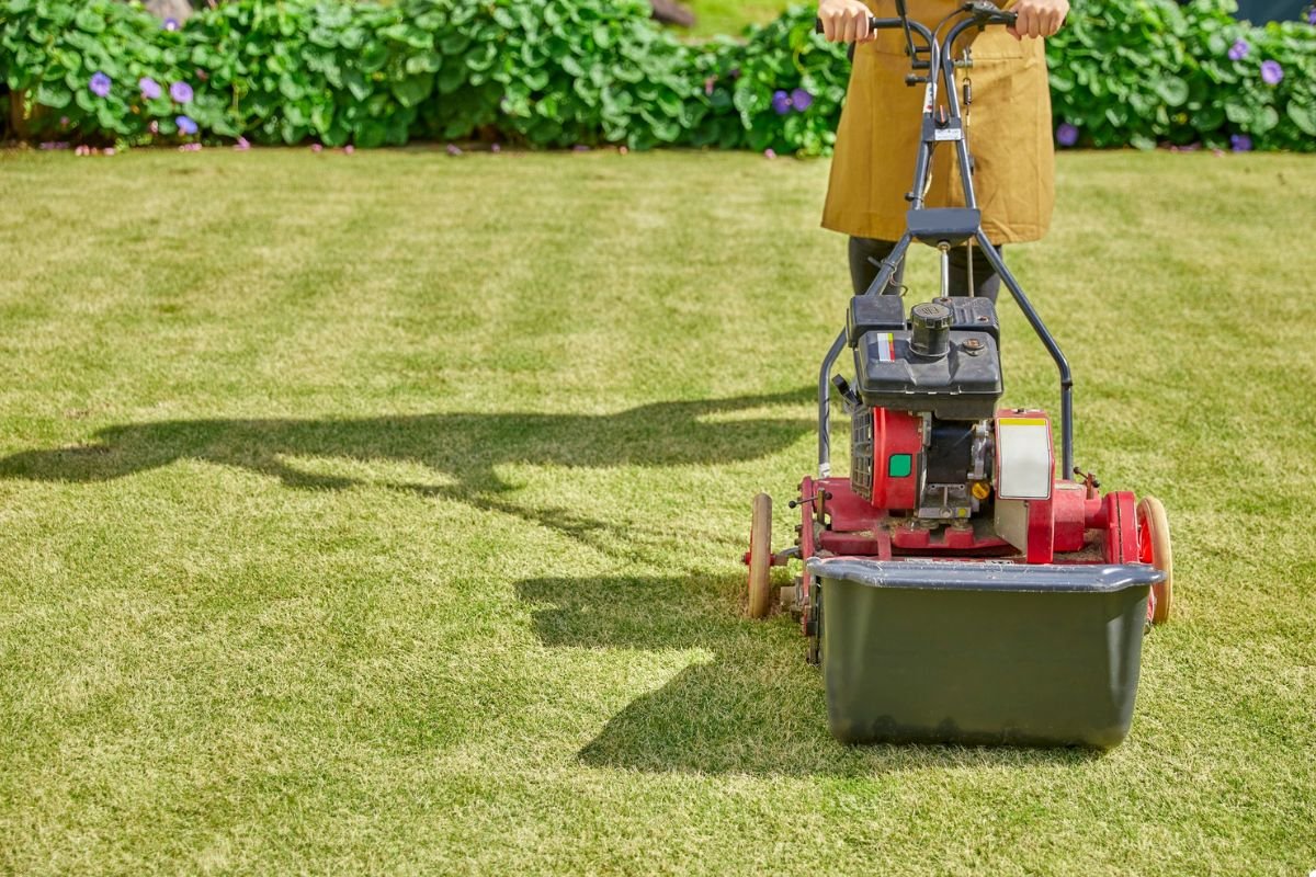 A woman using a lawn mower to cut grass in a well-maintained yard on a sunny day.